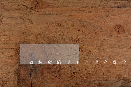 微粒贷逾期3万资产保全 微粒贷逾期3万资产保全