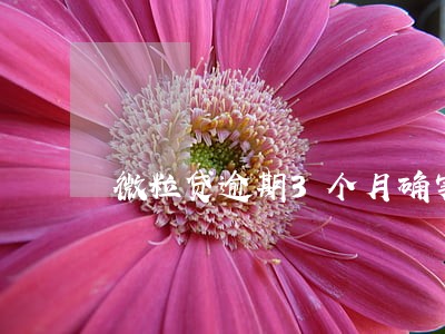 微粒贷逾期3个月确实还不了 微粒贷逾期3个月确实还不了
