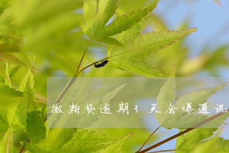 微粒贷逾期3天会爆通讯录吗 微粒贷逾期3天会爆通讯录吗