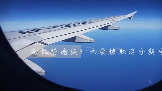 微粒贷逾期3天会被取消分期吗 微粒贷逾期3天会被取消分期吗
