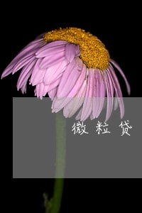 微粒贷逾期3天后果