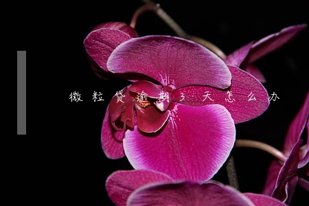 微粒贷逾期3天怎么办 微粒贷逾期3天怎么办