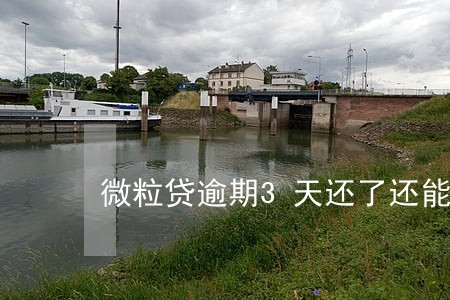 微粒贷逾期3天还了还能再借吗 微粒贷逾期3天还了还能再借吗