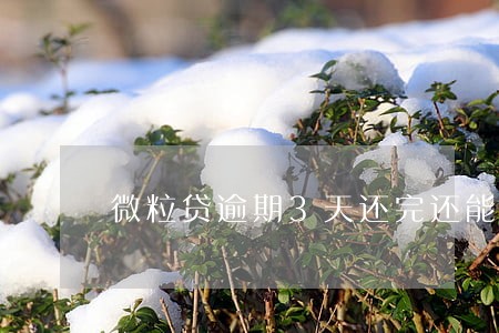 微粒贷逾期3天还完还能借吗 微粒贷逾期3天还完还能借吗