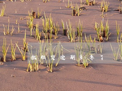微粒贷逾期3年了