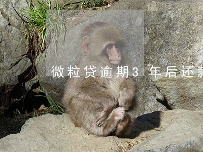 微粒贷逾期3年后还款怎么办