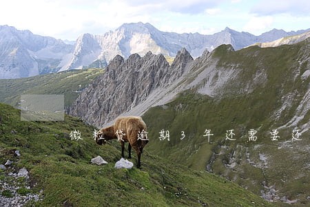 微粒贷逾期3年还需要还吗