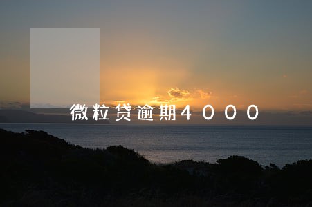 微粒贷逾期4000 微粒贷逾期4000