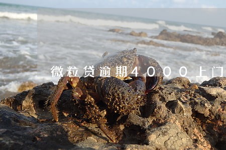微粒贷逾期4000上门 微粒贷逾期4000上门