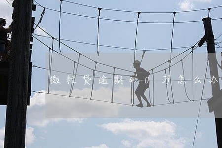 微粒贷逾期40万怎么办 微粒贷逾期40万怎么办