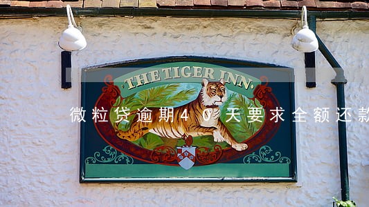 微粒贷逾期40天要求全额还款 微粒贷逾期40天要求全额还款
