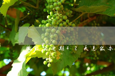 微粒贷逾期42天怎么办 微粒贷逾期42天怎么办