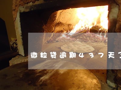 微粒贷逾期437天了怎么办