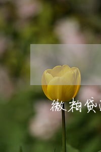 微粒贷逾期45天了 微粒贷逾期45天了