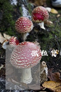 微粒贷逾期4万会坐牢吗