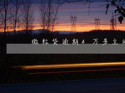 微粒贷逾期4万多主动还了几百