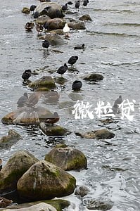微粒贷逾期4万多会坐牢吗 微粒贷逾期4万多会坐牢吗