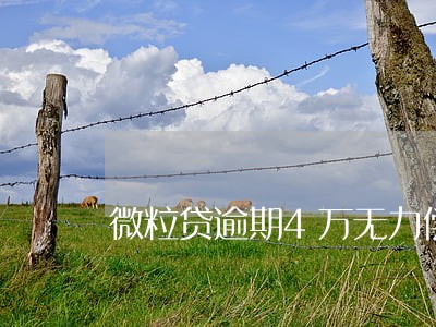 微粒贷逾期4万无力偿还 微粒贷逾期4万无力偿还