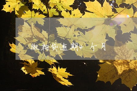 微粒贷逾期4个月