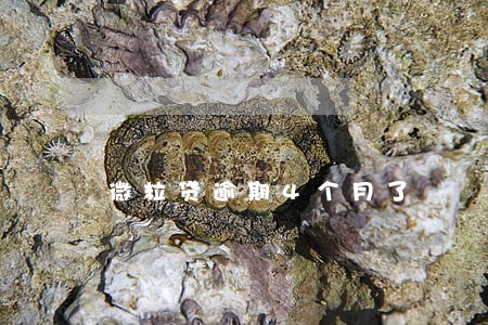微粒贷逾期4个月了 微粒贷逾期4个月了