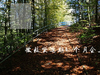 微粒贷逾期4个月会上门 微粒贷逾期4个月会上门