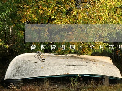 微粒贷逾期4个月冻结 微粒贷逾期4个月冻结