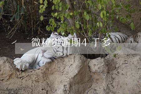 微粒贷逾期4千多 微粒贷逾期4千多
