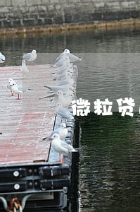 微粒贷逾期4千多会立案嘛 微粒贷逾期4千多会立案嘛