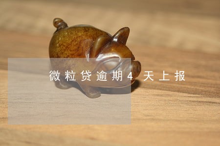 微粒贷逾期4天上报