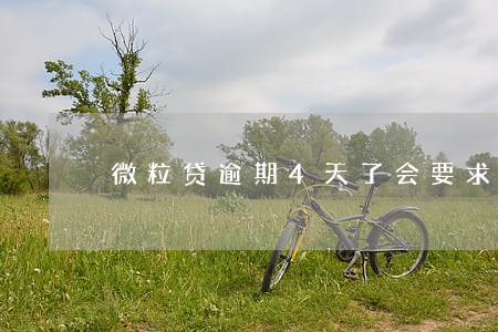 微粒贷逾期4天了会要求还全款吗 微粒贷逾期4天了会要求还全款吗