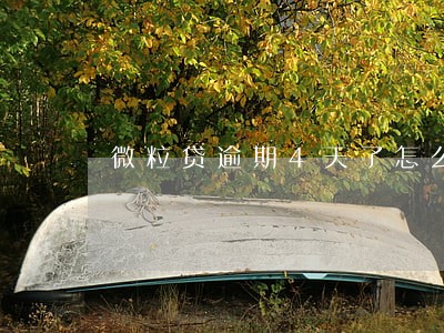 微粒贷逾期4天了怎么办 微粒贷逾期4天了怎么办