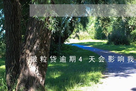 微粒贷逾期4天会影响我信用吗 微粒贷逾期4天会影响我信用吗