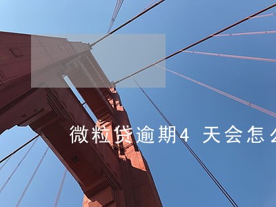 微粒贷逾期4天会怎么样 微粒贷逾期4天会怎么样