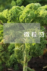 微粒贷逾期4天发信息说取消分期 微粒贷逾期4天发信息说取消分期