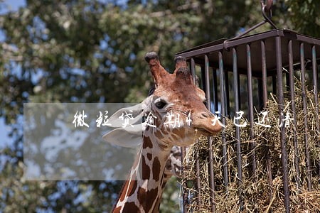 微粒贷逾期4天已还清 微粒贷逾期4天已还清