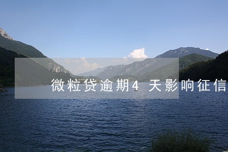 微粒贷逾期4天影响征信嘛 微粒贷逾期4天影响征信嘛