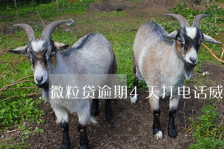 微粒贷逾期4天打电话威胁 微粒贷逾期4天打电话威胁