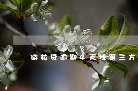 微粒贷逾期4天找第三方催收 微粒贷逾期4天找第三方催收