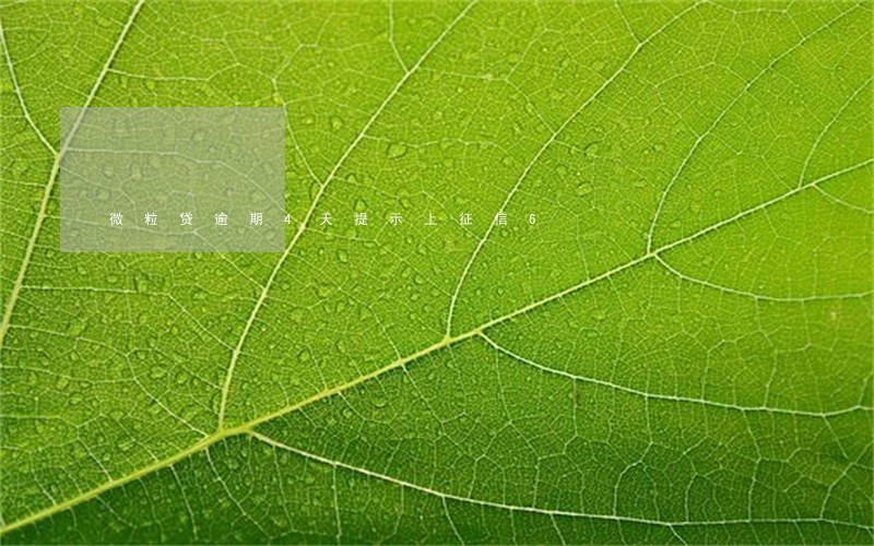 微粒贷逾期4天提示上征信6 微粒贷逾期4天提示上征信6