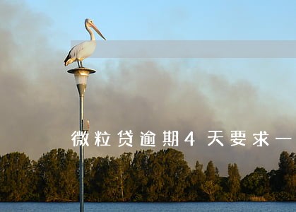 微粒贷逾期4天要求一次性还清 微粒贷逾期4天要求一次性还清