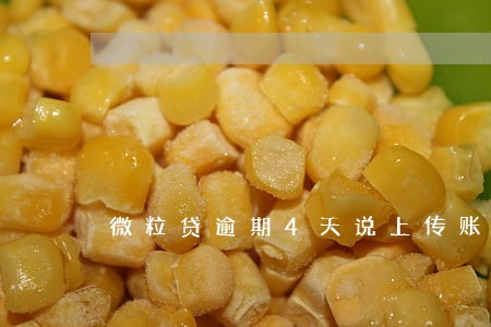 微粒贷逾期4天说上传账单 微粒贷逾期4天说上传账单