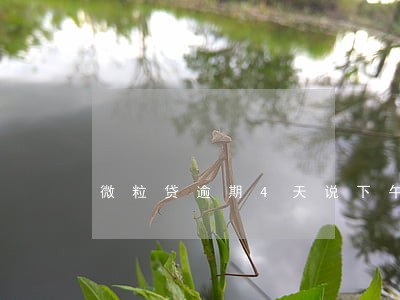 微粒贷逾期4天说下午2点要上门