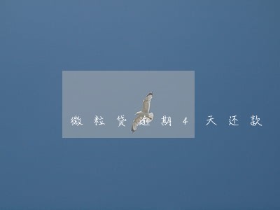 微粒贷逾期4天还款 微粒贷逾期4天还款