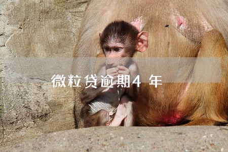 微粒贷逾期4年 微粒贷逾期4年