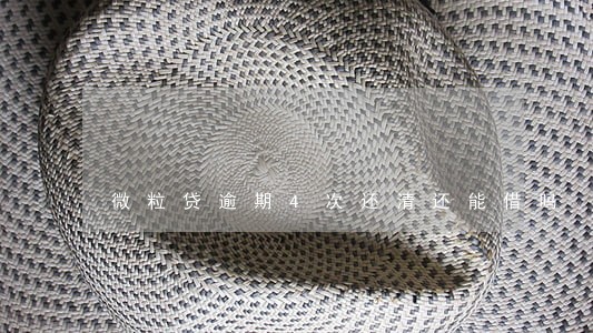 微粒贷逾期4次还清还能借吗 微粒贷逾期4次还清还能借吗