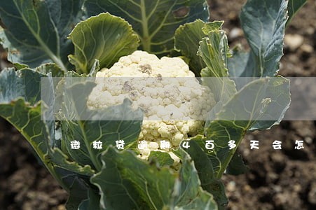 微粒贷逾期4百多天会怎么样 微粒贷逾期4百多天会怎么样