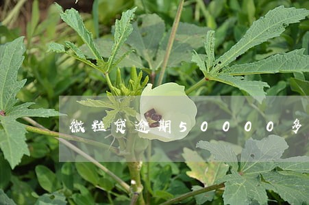 微粒贷逾期50000多久没事 微粒贷逾期50000多久没事