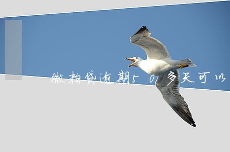 微粒贷逾期50多天可以再分期么 微粒贷逾期50多天可以再分期么