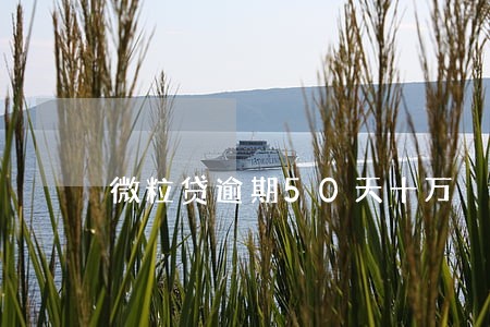 微粒贷逾期50天十万 微粒贷逾期50天十万