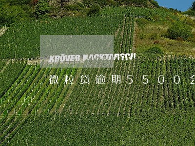 微粒贷逾期5500会上门吗 微粒贷逾期5500会上门吗